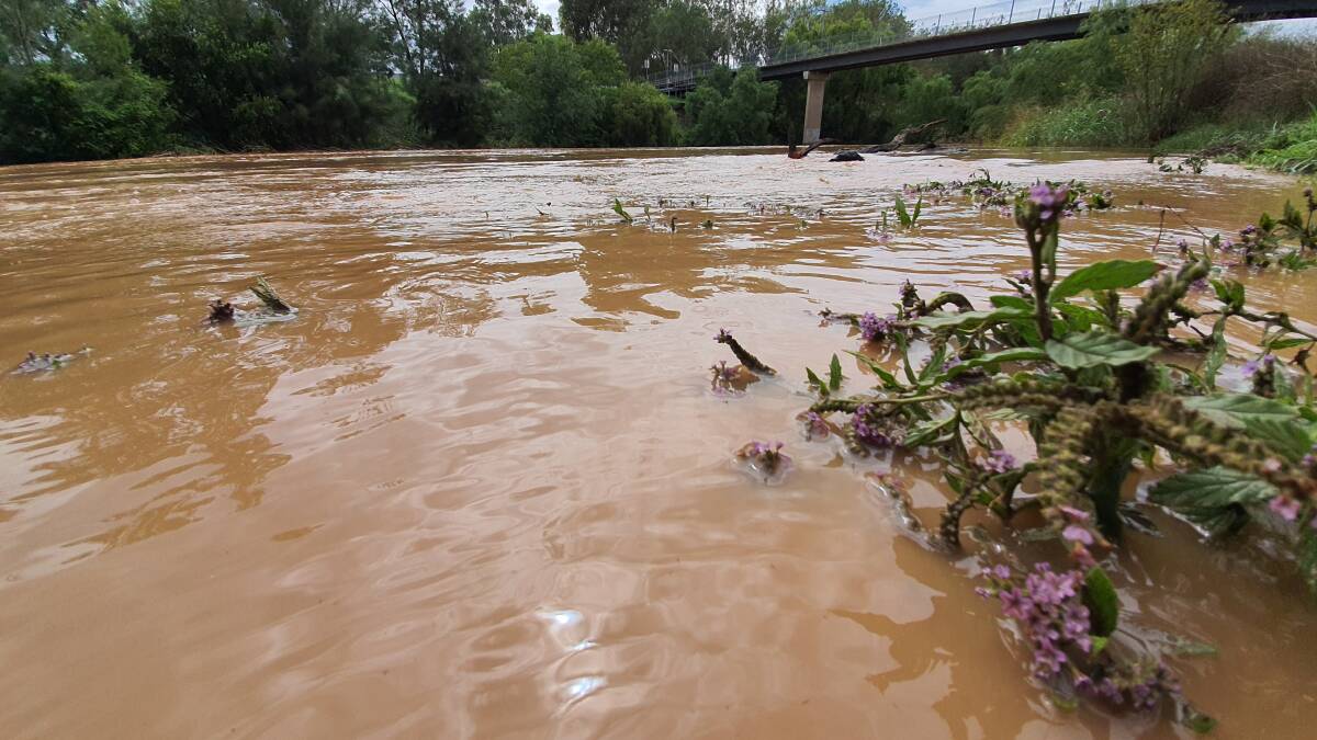 WHERE TO WEIR: Tamworth Regional Council will investigate the possibility of weirs at the Peel River. Photo: File