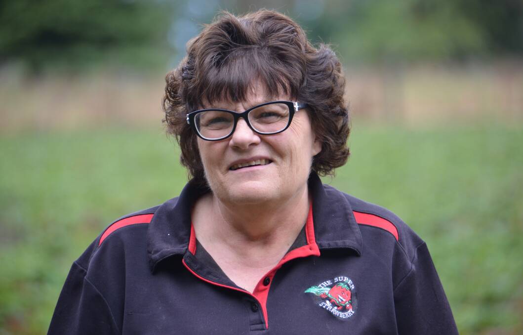 CONTAMINATION CRISIS: Glen Innes Super Strawberry owner Cecily Tarrant fears effects of the crisis on the industry.