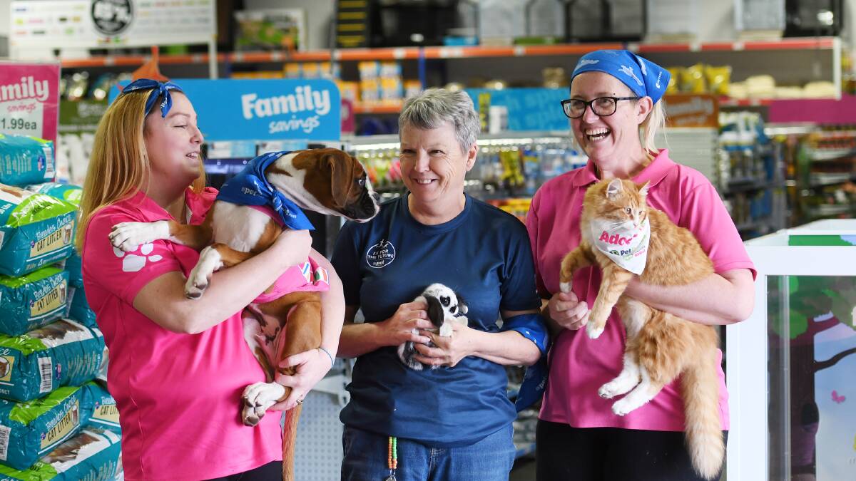 MICROCHIP BLITZ: Tamworth PETstock staff Ashley Spurway, Lesley Baker and Therese Dunstone at the store where the blitz will be held. Photo: Gareth Gardner 