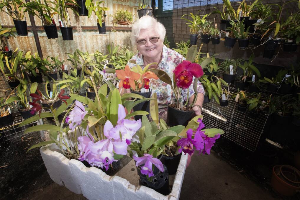 IN BLOOM: Tamworth Orchid Society Incorporated publicity officer Cheryl Harris. Photo: Peter Hardin 220421PHB006