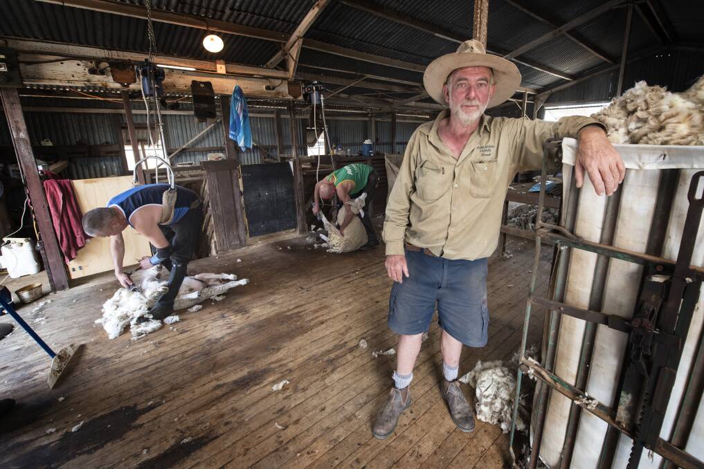 SLIM-PICKINGS: Tamworth sheep farmer Russell Webb wants to see the government implement a grain subsidy to save breeding stock. Photo: Peter Hardin