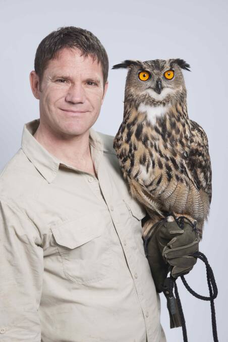 WILD: Steve Backshall with an owl.