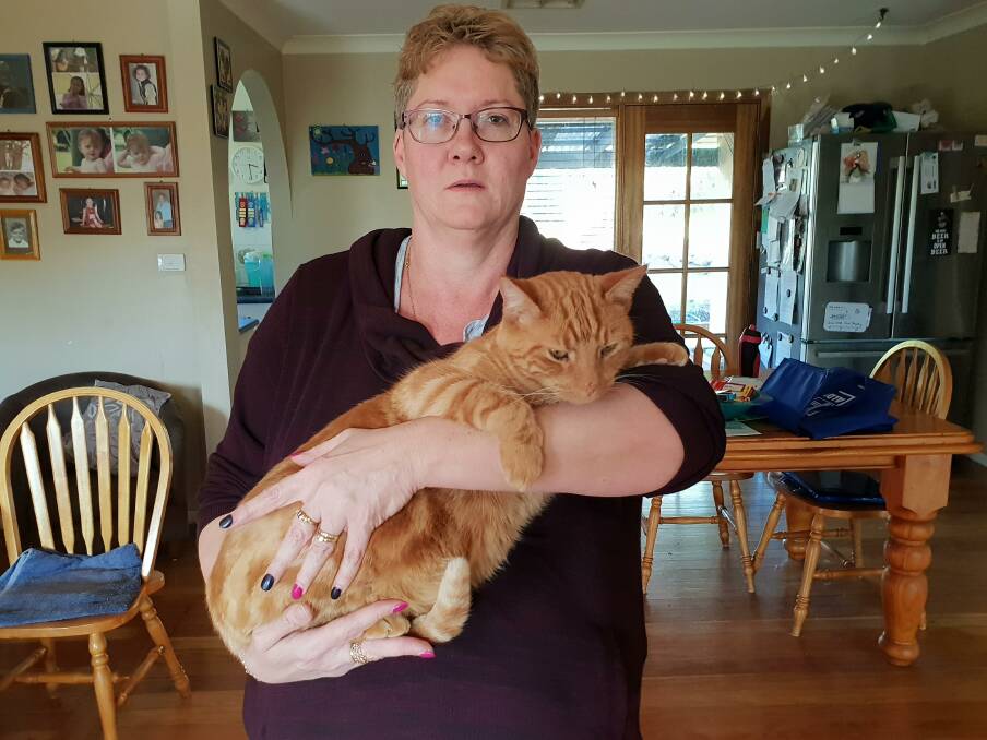 EAGLE ATTACK: Nemingha resident Naomi Curtis with her cat Ra Ra, who was attacked by an eagle on her property.