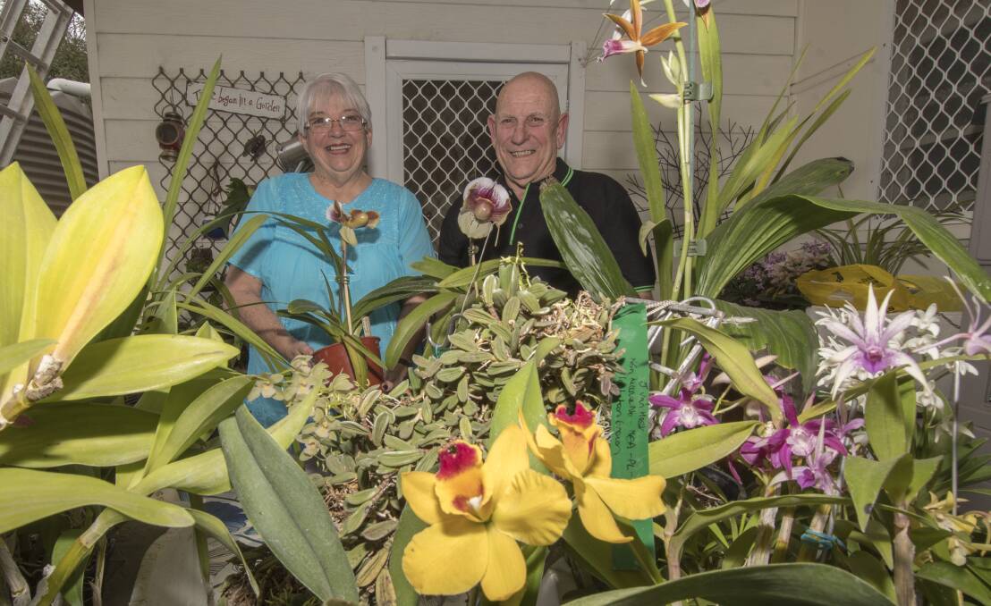 FLOWER POWER: Tamworth Orchid Society members Sue Dykes and Jack van Hest with his impressive collection of about 45 orchid plants. Photo: Peter Hardin 180919PHD023