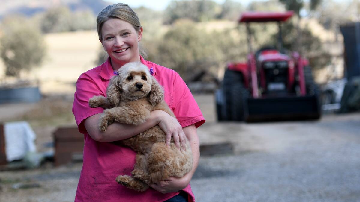 POOCH PAMPERING: Steph Slavin is offering free dog clips to farmers struggling with financial pressures as a result of the drought. Photo: Gareth Gardner