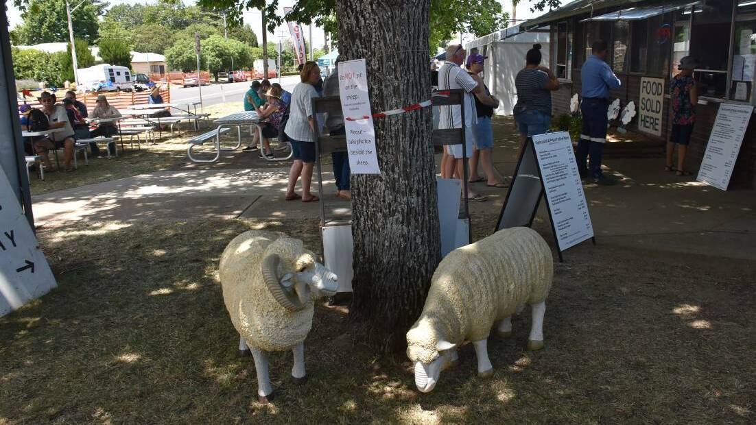SHEEP MAY SAFELY GRAZE: The food gazebo had served more than 100 people by lunchtime today. Photo: Nicholas Fuller