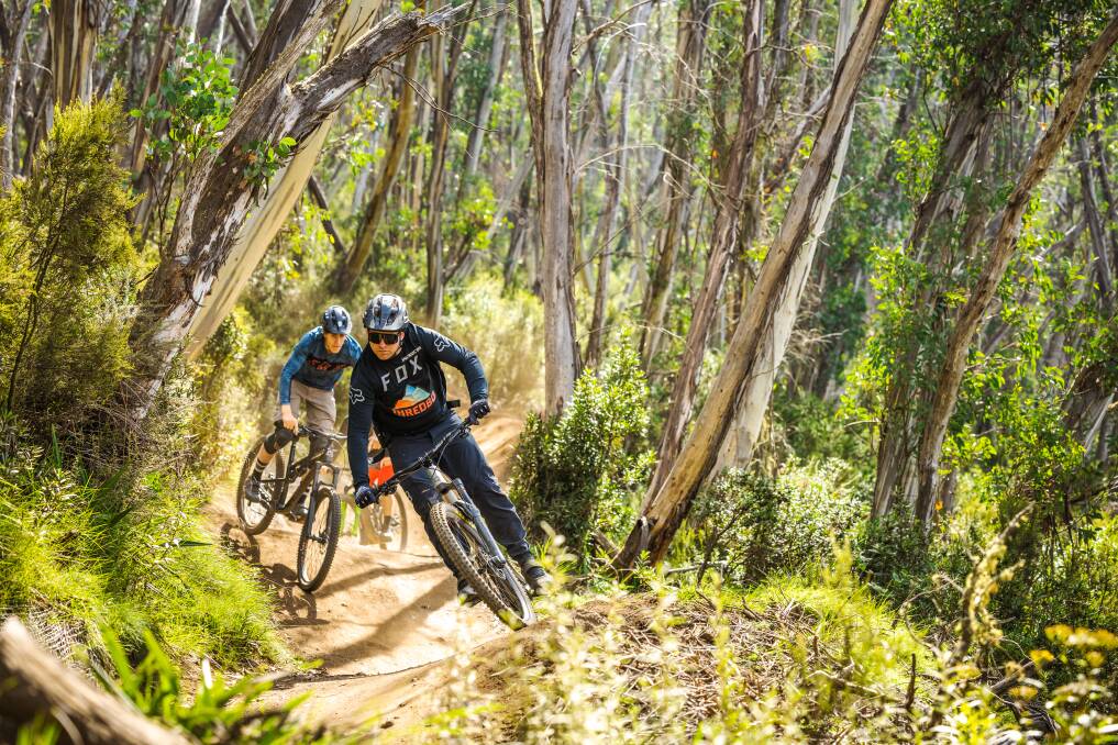 Beginner mountain bikers are now well catered for at Thredbo with three new beginner and intermediate trails in the Cruiser area. Picture Thredbo Resort