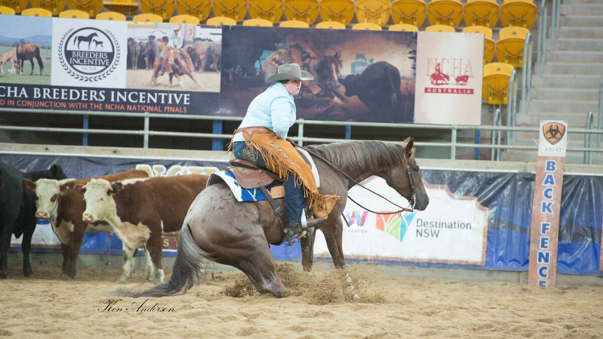 At the double: Queenslander Courtney Roberts has been one of the stars at the National Cutting Horse Association finals in Tamworth. Photo: Ken Anderson Photography