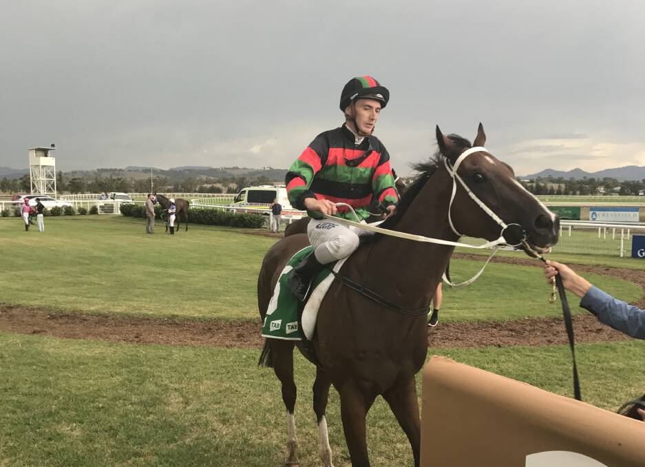 Tornado rising: Tamworth's Art D'Amour is set for a second bite at qualifying for the Country Championships at Muswellbrook on Sunday.