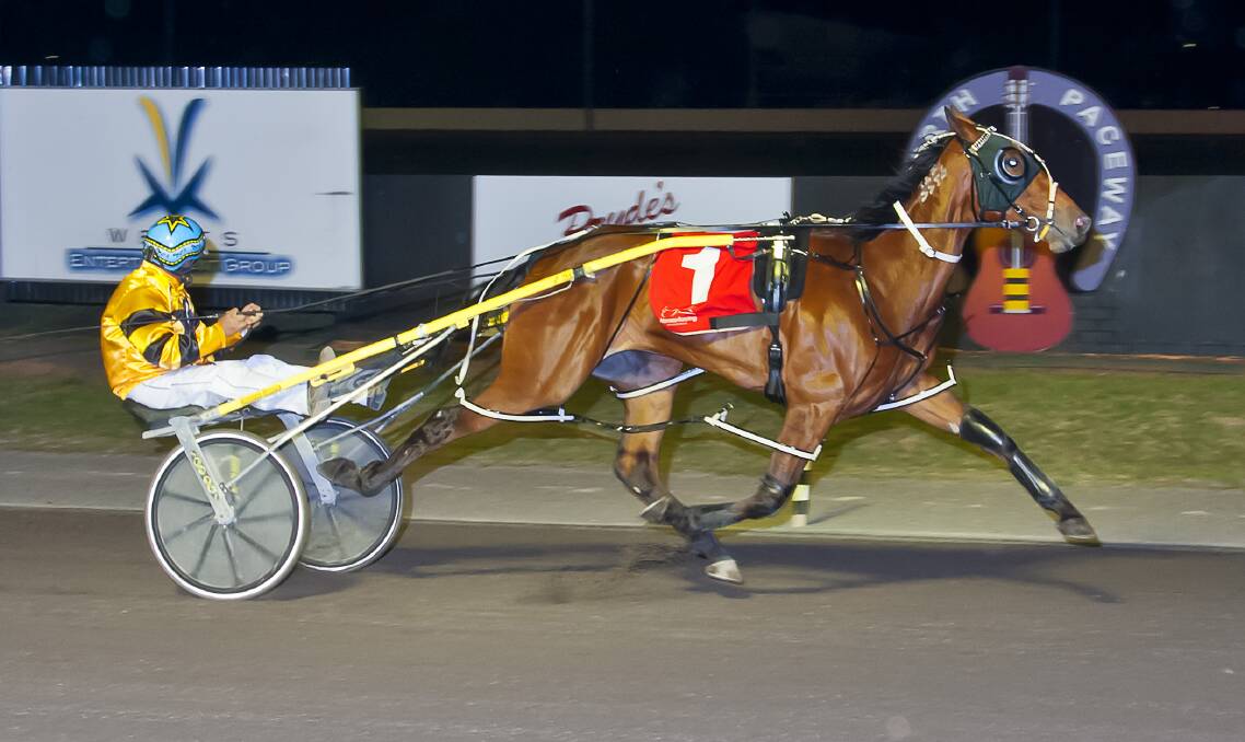 Smart customer: Takara Truffle looms as a winning chance in the Golden Guitar Heats during a bumper 12-race program at Tamworth Paceway on Sunday night. Picture: Peter Mac Photography