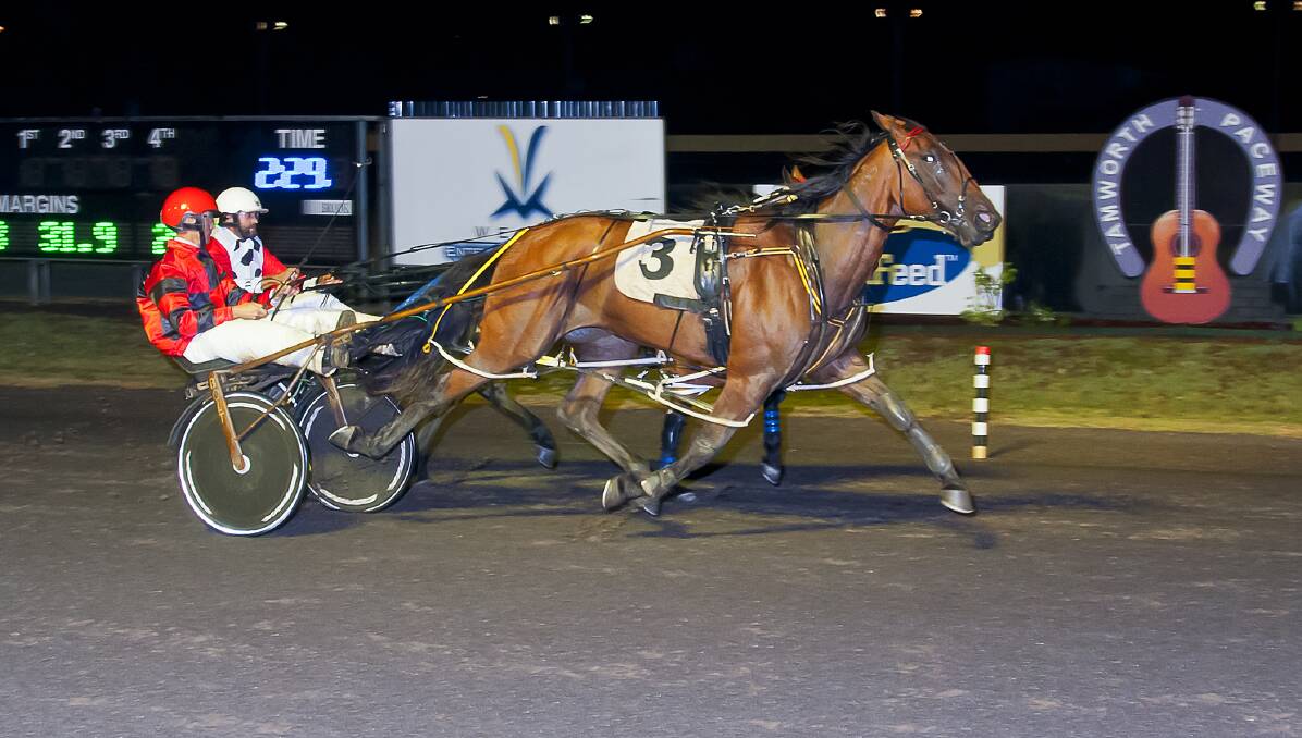 Sterling effort: Culinary Delight carried a flat tyre to victory in Wednesday night's Gold Nugget at Tamworth. Picture: Peter Mac Photography