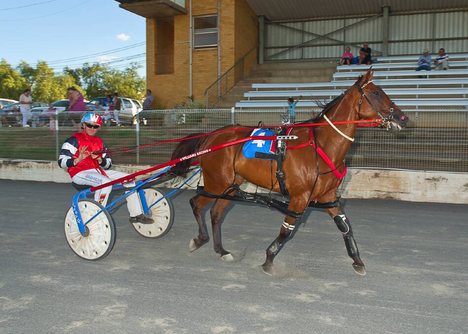 Leading hope: Coralie Joy is one of the key runners for trainer Richard Williams at Tamworth Paceway on Thursday night. Coralie Joy contests race three on the nine-event card. Photo: Peter Mac Photography.