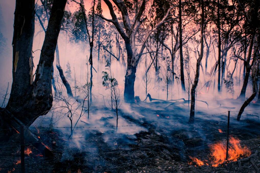 Image by Andrew Flakelar from Belrose Brigade of the Tingha Plateau Fire. 