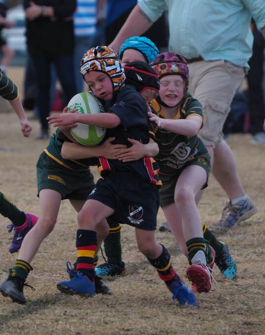 Juniors took the field at Inverell's Sporting Complex on Sunday for the carnival.