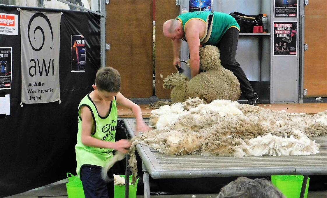 In action: Moree's Leith Bearman skirts the fleece whilst competing for NSW in the novice wool handling division on Sunday. Photo: Supplied.