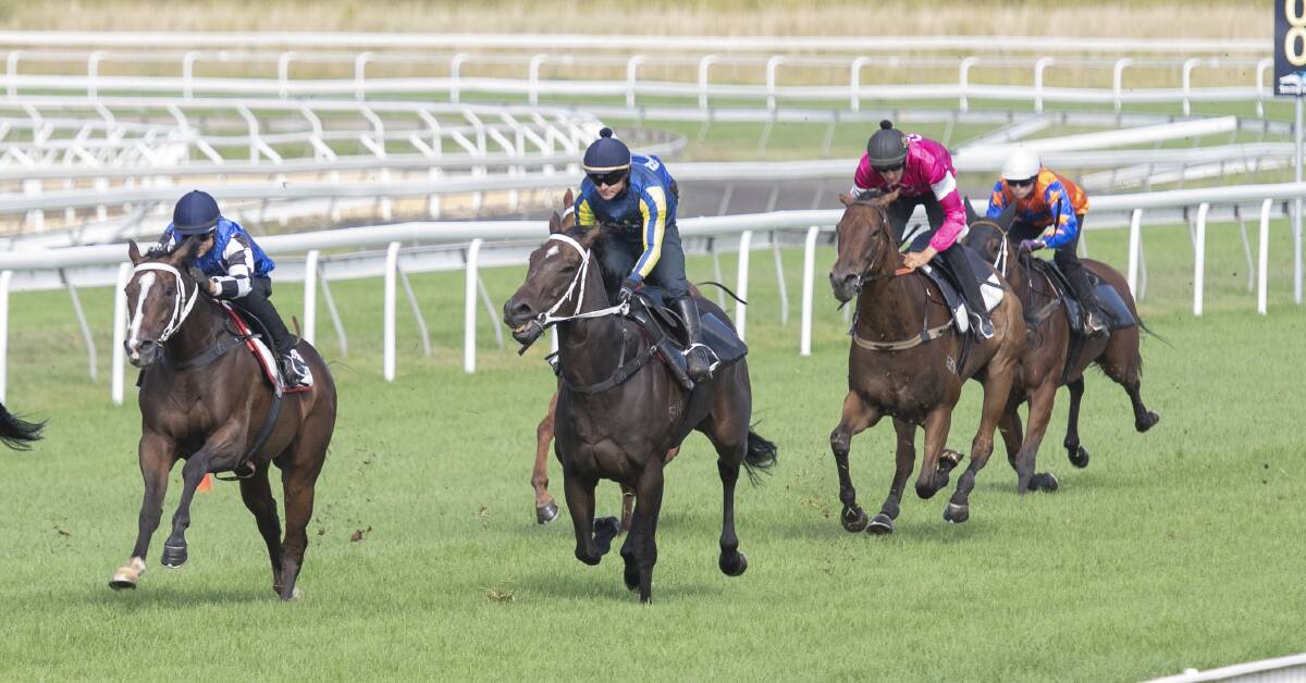 On track: Wren's Day (left), Macleay (right), and Anethole (obscured) all ran well in the first trial on Tuesday, while Edit won the following race by more than two lengths. Photo: Peter Hardin. 