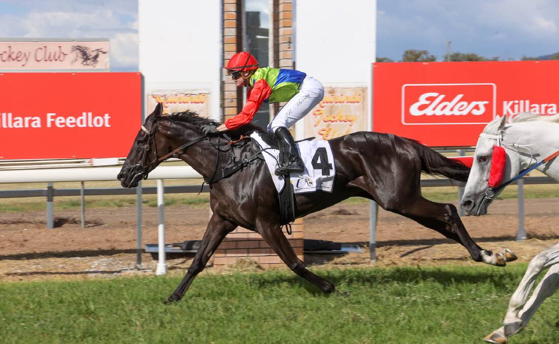 Come from behind: Ridden by Rachael Murray, Ah Well crosses the finish line after a stunning comeback at Quirindi on Friday. Photo: Bradley Photos. 