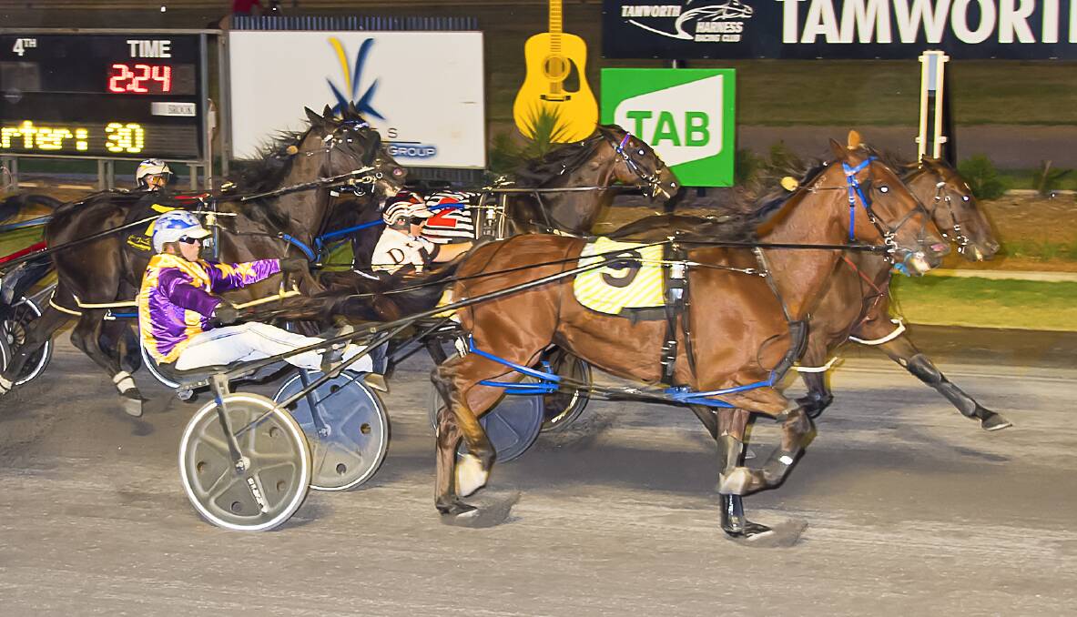 Lane Dwyer steers Luvbite to a win in heat five on Sunday in Tamworth. Picture by PeterMac Photography. 
