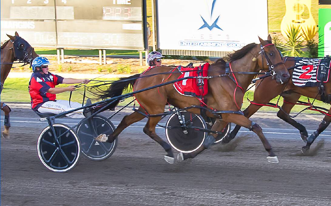 Kickatinalong won heat three on Sunday, driven by Brendan Barnes, to mark Dwyer's second winning runner on the day. Picture by PeterMac Photography. 