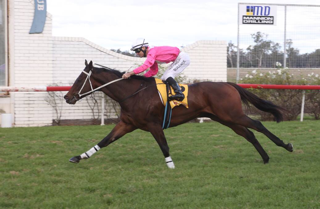 Good form: Ridden by Aaron Bullock, Ice In Vancouver crosses the line in Gunnedah to claim his fifth win from 10 starts. Photo: Bradley Photos. 