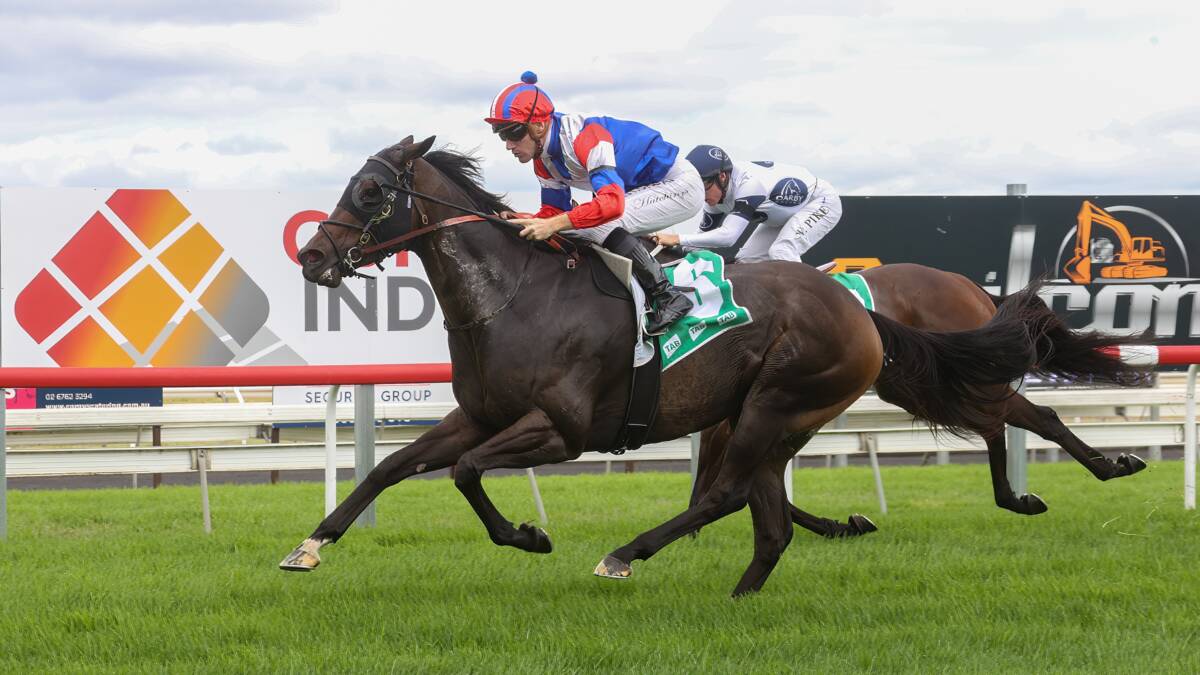 IN FRONT: Rory Hutchings rides Simpkin to an emotional victory in the Vale Terry Burke Maiden Plate on Sunday. Photo: Bradley Photos.