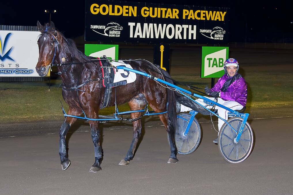 Superior: Jackeroo Shannon posted his second win in five starts for Michael Formosa when a 6.6 metre victor in the ECO Energy & Solar Solutions Pace at Tamworth on Sunday. Photo: PeterMac Photography