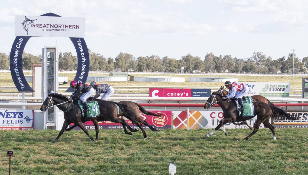 Too good: The Brett Cavanough-trained Dubai Tycoon took out the Easters Landscape Supplies Rush (1200m). Photo: Peter Hardin