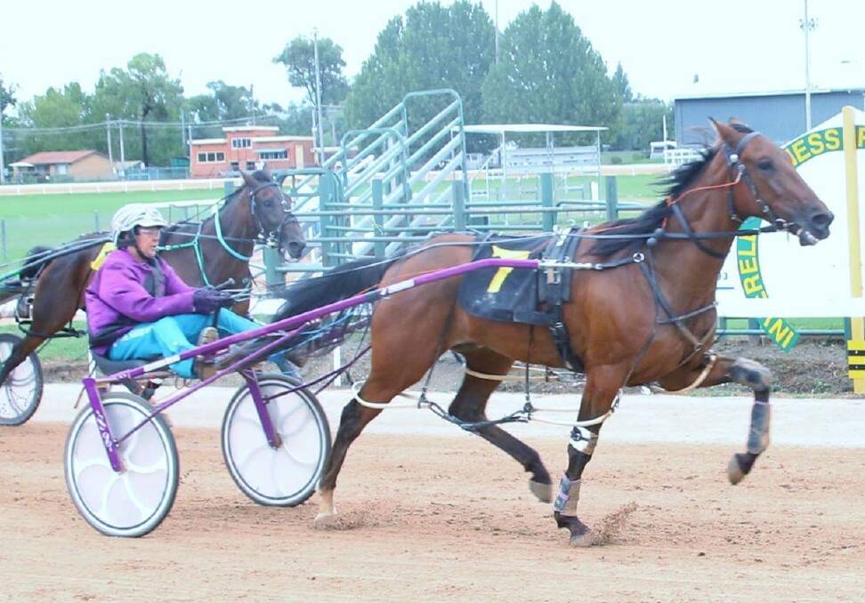 Strong win: Christian Shannon goes to the line nicely for Tamworth trainer and reinswoman Sarah Rushbrook at Inverell on Sunday. Photo: Coffee Photography