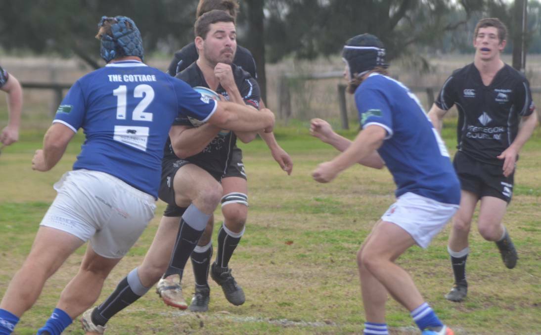 Bracing for impact: Moree five-eighth Jordan Cosh hits the ball up for the Bulls against Scone on Saturday. 