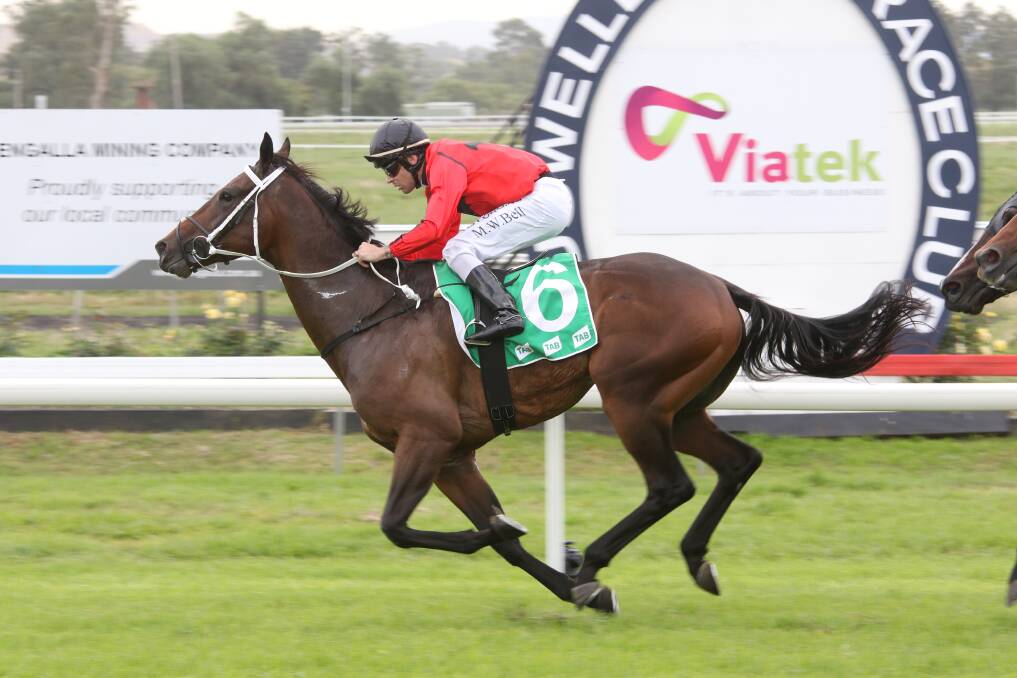 Taking flight: Rapid Eagle surges clear to win the TAB.com.au Maiden Handicap (1200m) at Muswellbrook on Monday and notch his first win. Photo: Bradley Photos