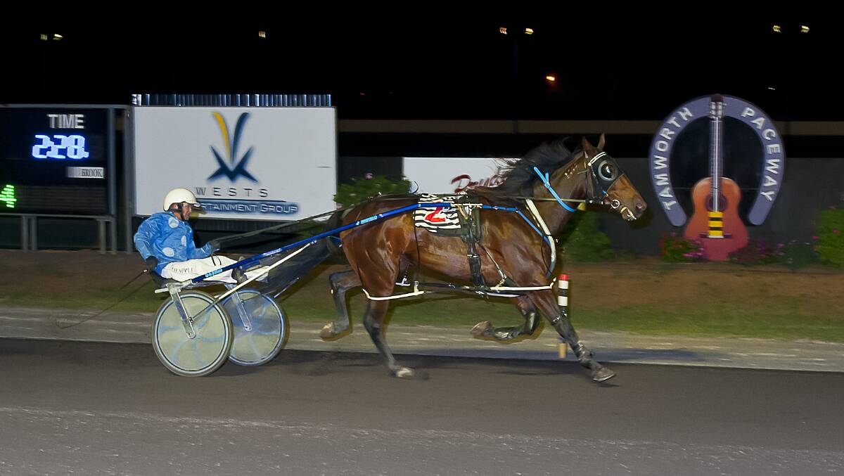 Dean Chapple takes the Graham Moon trained Gotta Go Rockin to the line in the Sam Ison Memorial on Friday night. It was the first leg of a winning double for the Moonbi trainer-driver. Photo: PeterMac Photography