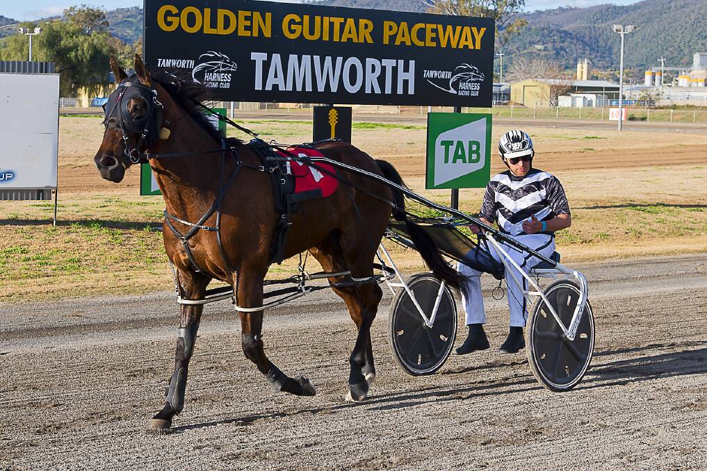Promising: Montana Nights impressed his Narrabri syndicate, which includes reinsman Chris Shepherdson, in winning at Tamworth last week, with the gelding just outside the track record. Photo: PeterMac Photography