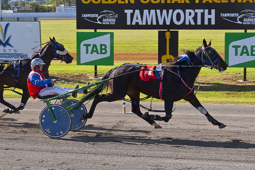 A win to treasure: Conquer The Day and Tom Ison gave Mick Finlay his first win as a trainer since 2011 when she kicked away in the straight for a 3.7 metre win in the ANZAC Day Pace. Photo: PeterMac Photography