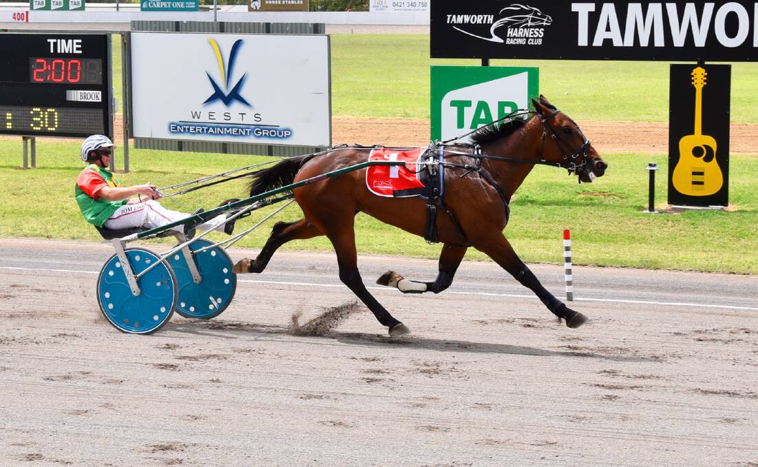 Winning haul: Always Ivy was the first of Tom Ison's four winners. Photo: PeterMac Photography