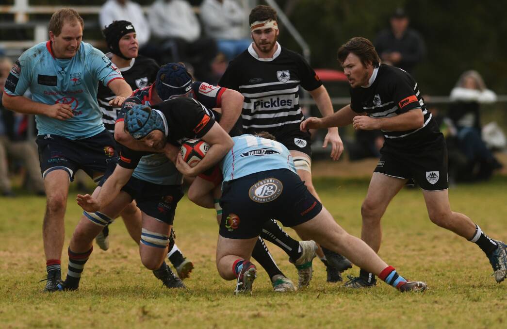 Unknown entity: Tamworth will have an extra team now to have to conquer with a combined Coffs Harbour side joining the 2020 competition. Photo: Gareth Gardner