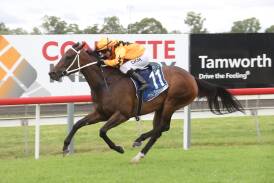 Dubai Bound romps home for her maiden win, at Tamworth on Monday. Picture by Bradley Photographers
