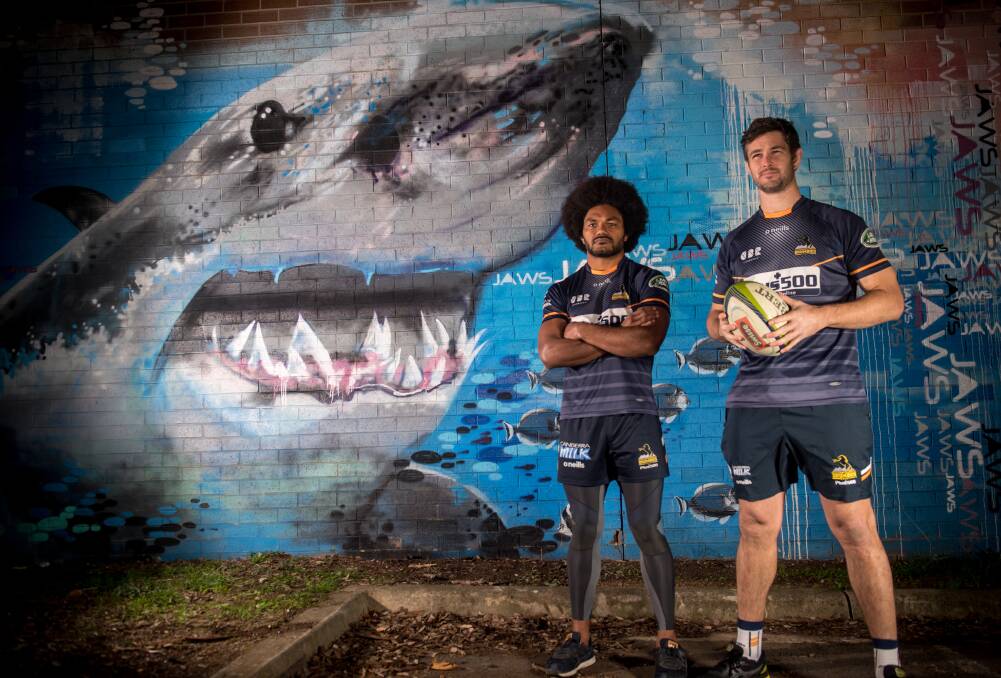 Focus: Sam Carter (right), pictured here with team-mate Henry Speight, aptly in front of a painting of a Shark, is preparing for his final finals campaign with the Brumbies. Photo: Karleen Minney.