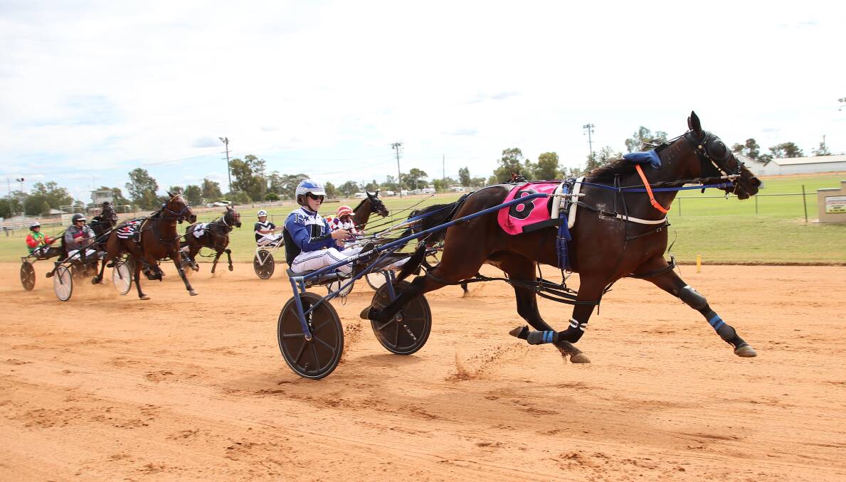 Finals bound: The Tony Missen-trained and Blake Hughes-driven Hand Writer will start from the four barrier in Sunday's $10,000 John Dean Memorial at Narrabri. Photo: Coffee Photos Dubbo