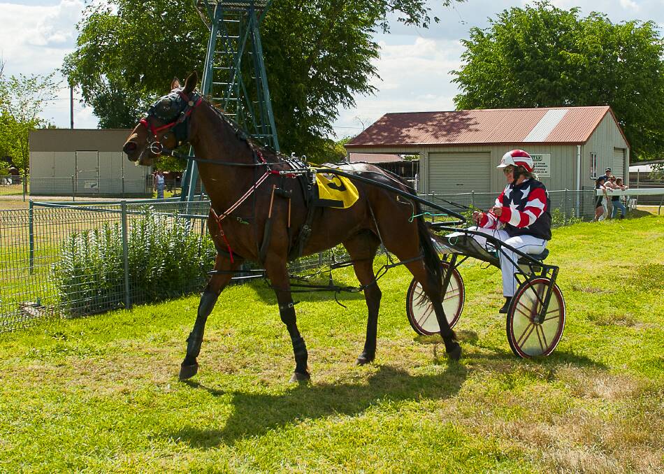 Courtney Sutherland and Mini Masterpiece return to scale after Thursday's win.Photo: PeterMac Photography.