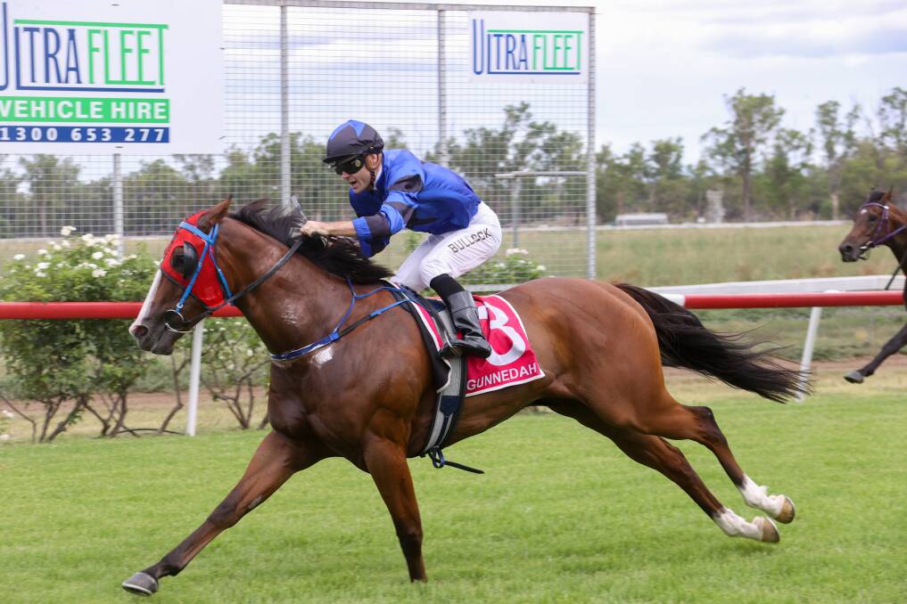 Outta De Lady delivered Tamworth trainer Zach Hatch his first winner for 2024 with a strong win at Gunnedah on Tuesday. Picture by Bradley Photographers