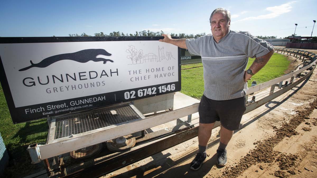 Good reward: Gunnedah Greyhound Racing Club president Geoff Rose is happy with the meeting allocations for the next racing year. Photo: Peter Hardin 280420PHC005