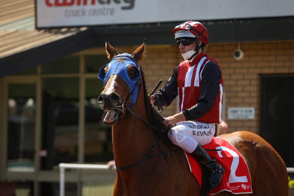 Well-travelled: Evans returns to scale on Dismayed after taking out the Open Trophy Handicap at Albury on Saturday. Photo: James Wiltshire