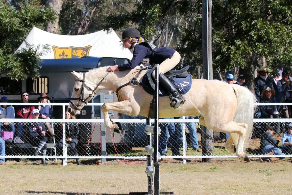 Henry competes for The Armidale School on Duges at the North West Equestrian Expo. Photo: Chris Miller Photography.