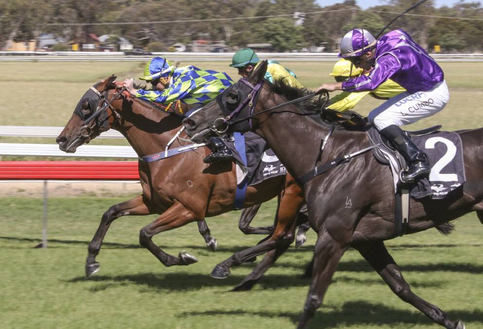 Wendy Peel and Baroque Girl (green and blue) take the lead during the final stages of Saturday's Diggers Cup at Inverell. Photo: Bradleyphotos.com.au