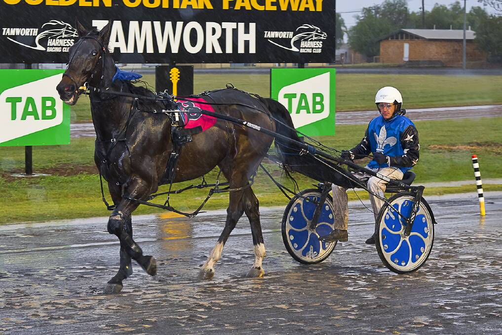 Back in the winner's circle: After resuming from a 15 month lay-off with a win on Thursday, Mitrhys Magic and Anthony Varga will look to make it two wins in the space of a week when they combine at Newcastle on Monday. Photo: PeterMac Photography