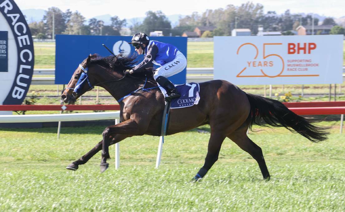 Winning return: In his first start since his Denman Cup triumph (pictured) back in October Rexx took out the aptly named Return To Racing Handicap at Grafton on Sunday. Photo: Bradley Photographers