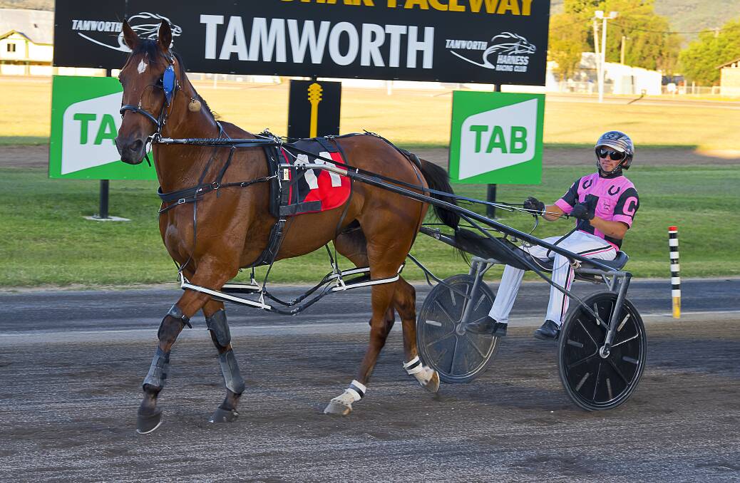 Golden debut: Making his first visit to the Golden Guitar Paceway, Sydney reinsman Leonard Cain drove his way to a Gold Nugget with the Roy Roots Jnr-trained Marty Major taking out the feature on Sunday night. Photo: PeterMac Photography