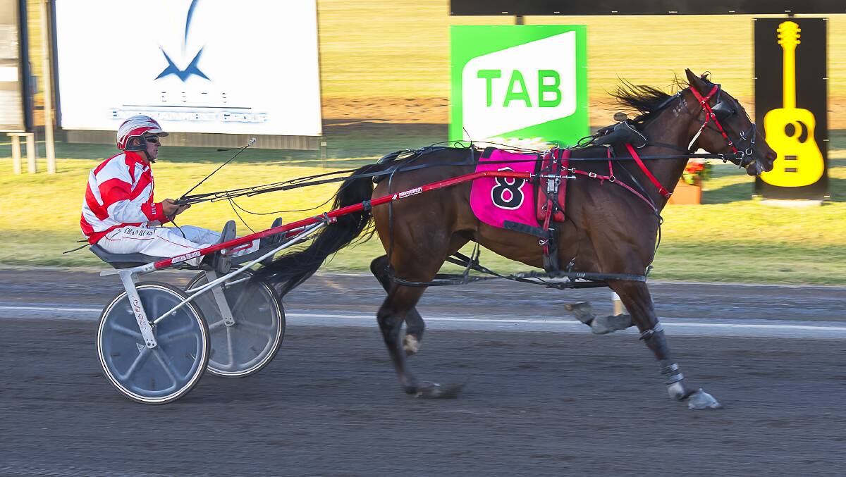 Star run: Eagle Commander gave Bathurst trainer Nathan Hurst his second Star Maker with a 7.3m win. Photo: PeterMac Photography