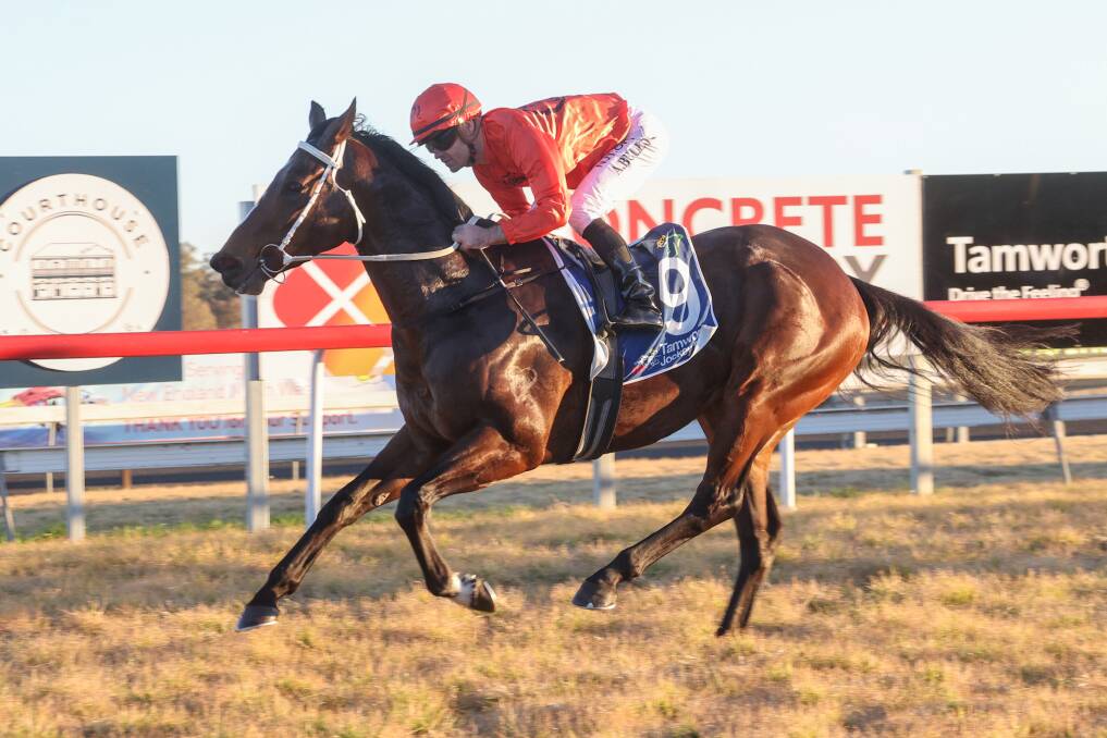 Too good: Le Melody showed why she was the favourite in the last race at Tamworth on Friday. Photo: Bradley Photographers