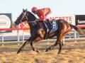Too good: Le Melody showed why she was the favourite in the last race at Tamworth on Friday. Photo: Bradley Photographers